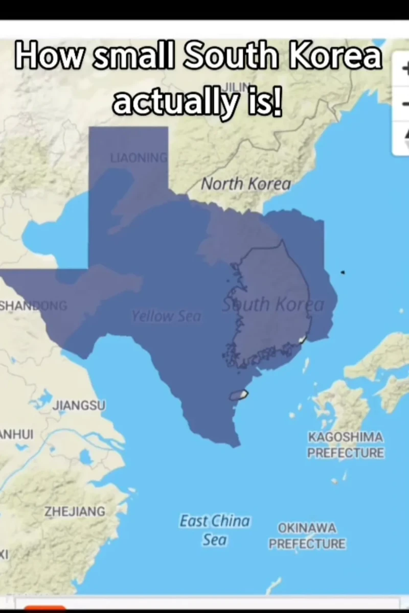 한국의 사이즈를 보고 충격받은 미국인-2