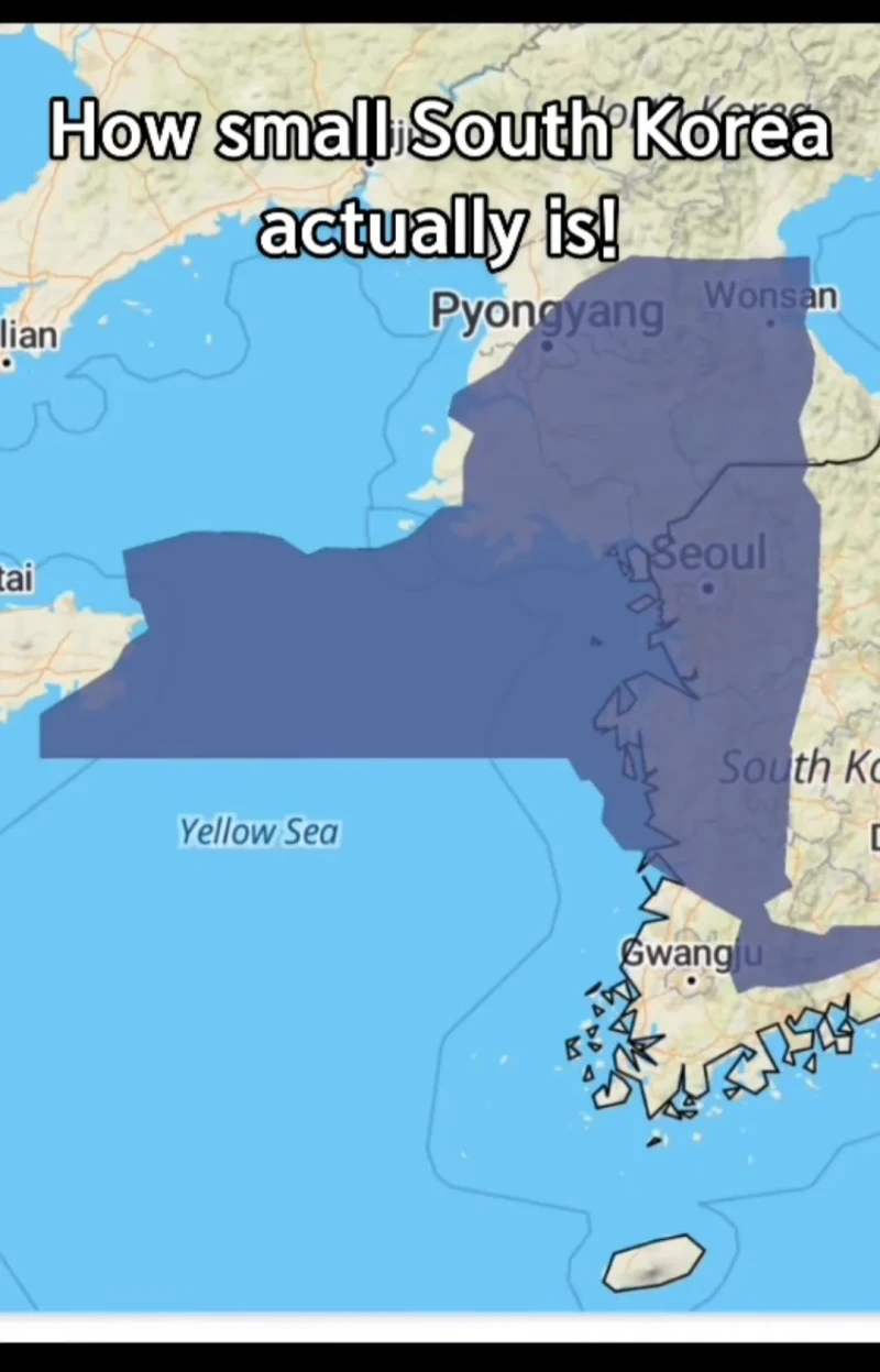 한국의 사이즈를 보고 충격받은 미국인-3