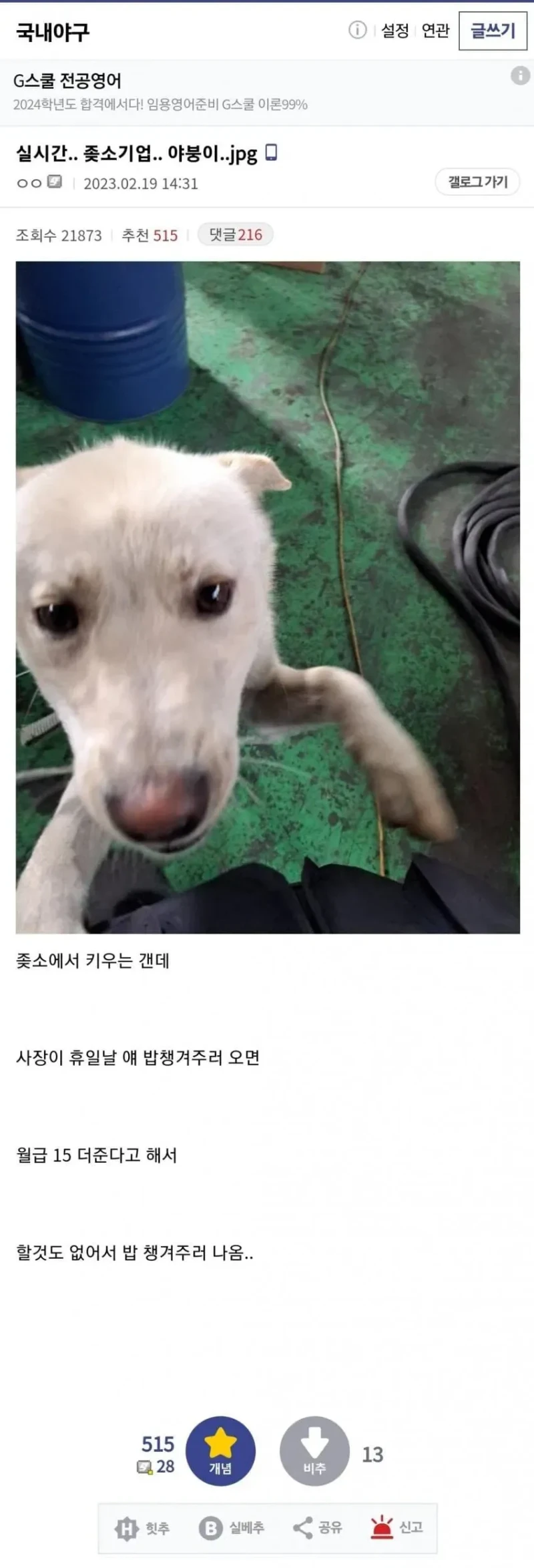 일요일에 출근시키는 좋소기업