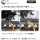 경주에서 자주 목격된다는 치즈 고양이