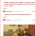 부모님 뒷목 잡게 했던 웃대인의 어린 시절 역대급 사고 모음