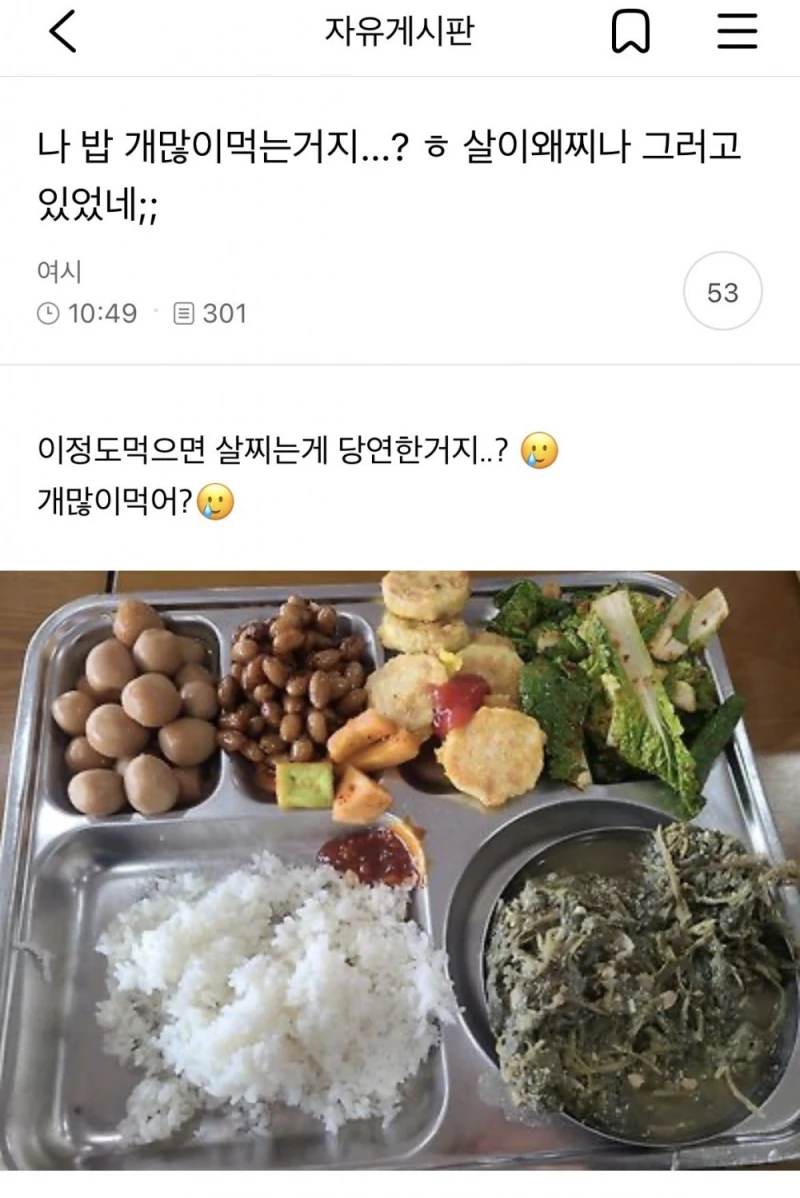 나 밥 개많이 먹는 거지? 살이 왜 찌나 그러고 있었네;;