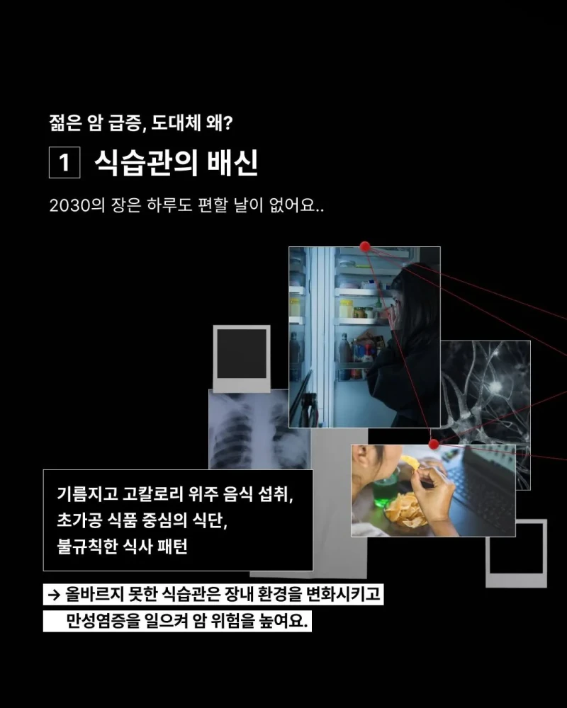 2030 젊은 암 급증, 그 충격적 원인-3