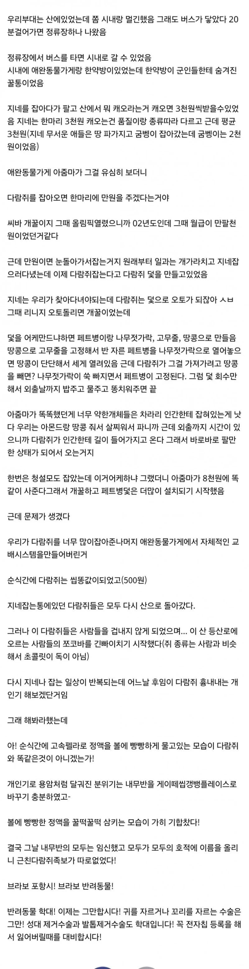 군대에서 다람쥐 사냥으로 돈 벌었던 썰-2