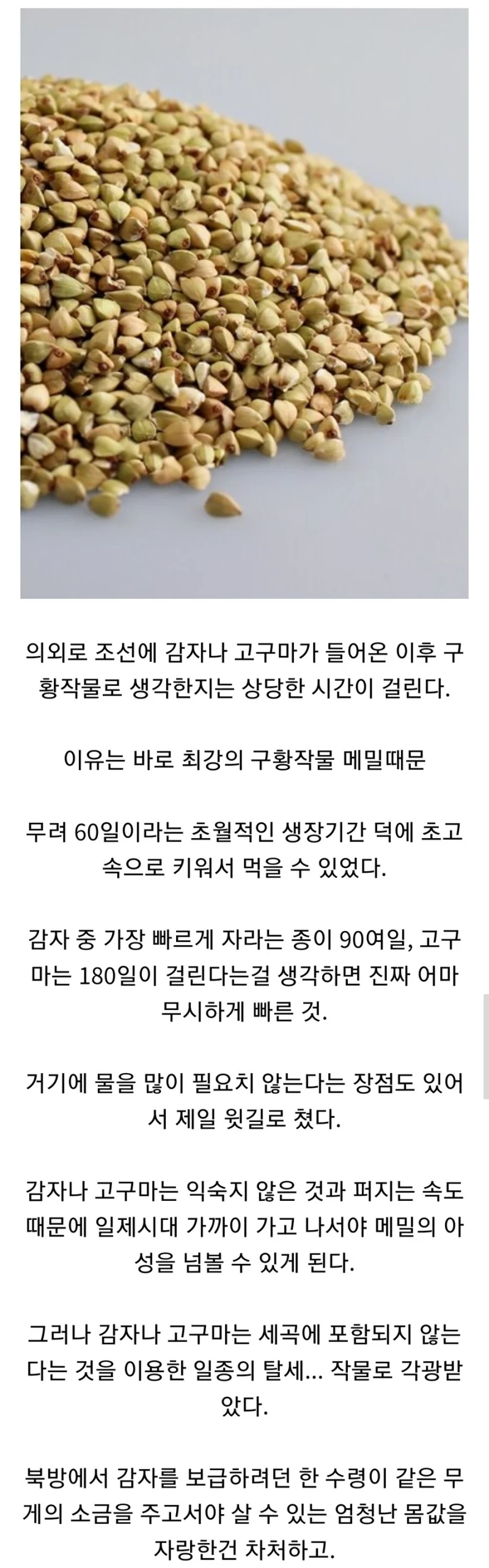 조상님들이 감자를 구황작물로 안 쓴 이유