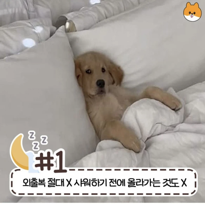 사람마다 갈린다는 침대 허용 가능한 범위