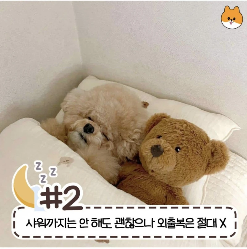 사람마다 갈린다는 침대 허용 가능한 범위-2