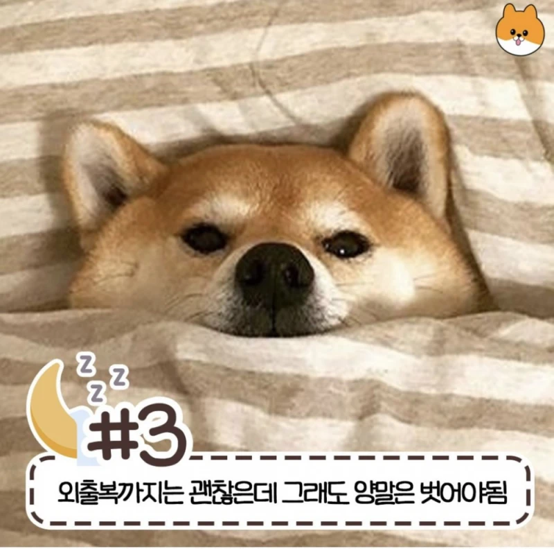 사람마다 갈린다는 침대 허용 가능한 범위-3