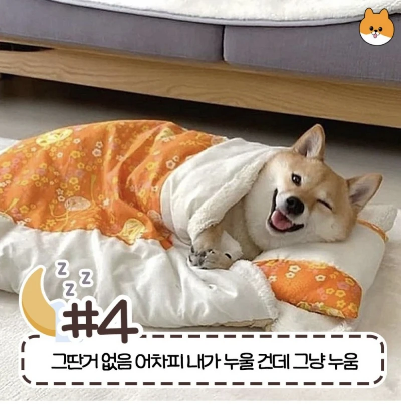 사람마다 갈린다는 침대 허용 가능한 범위-4