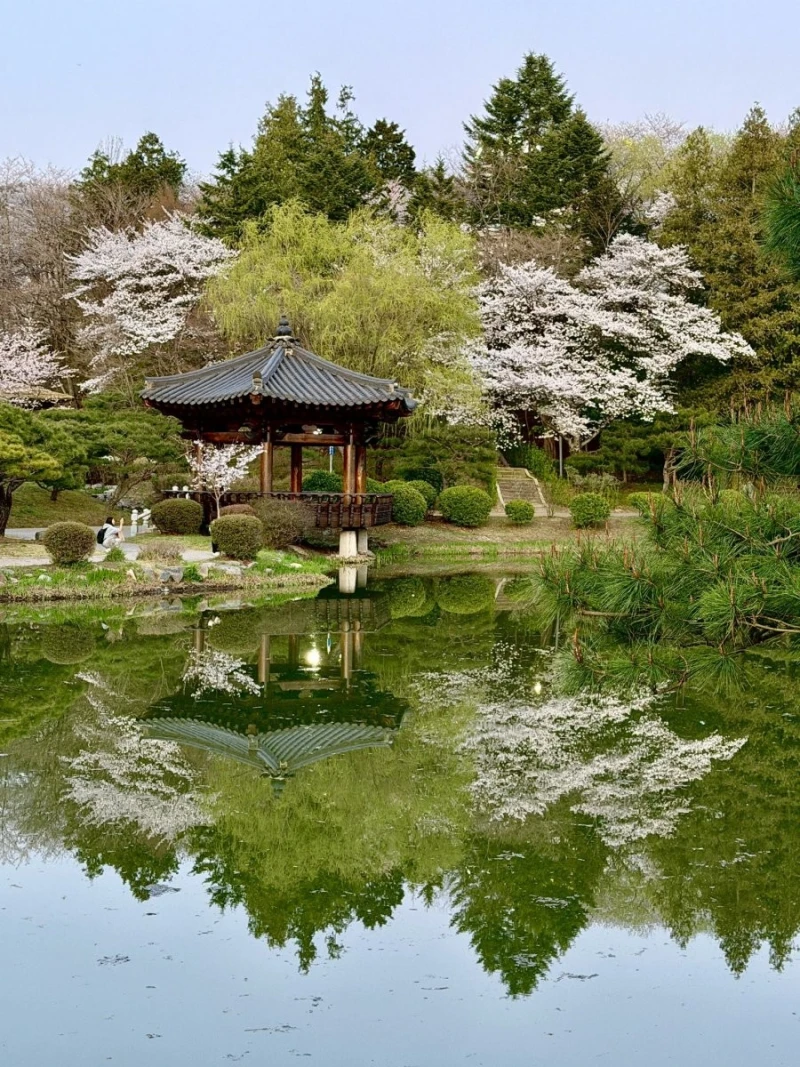외국인이 여행와서 찍은 경주 사진들-7