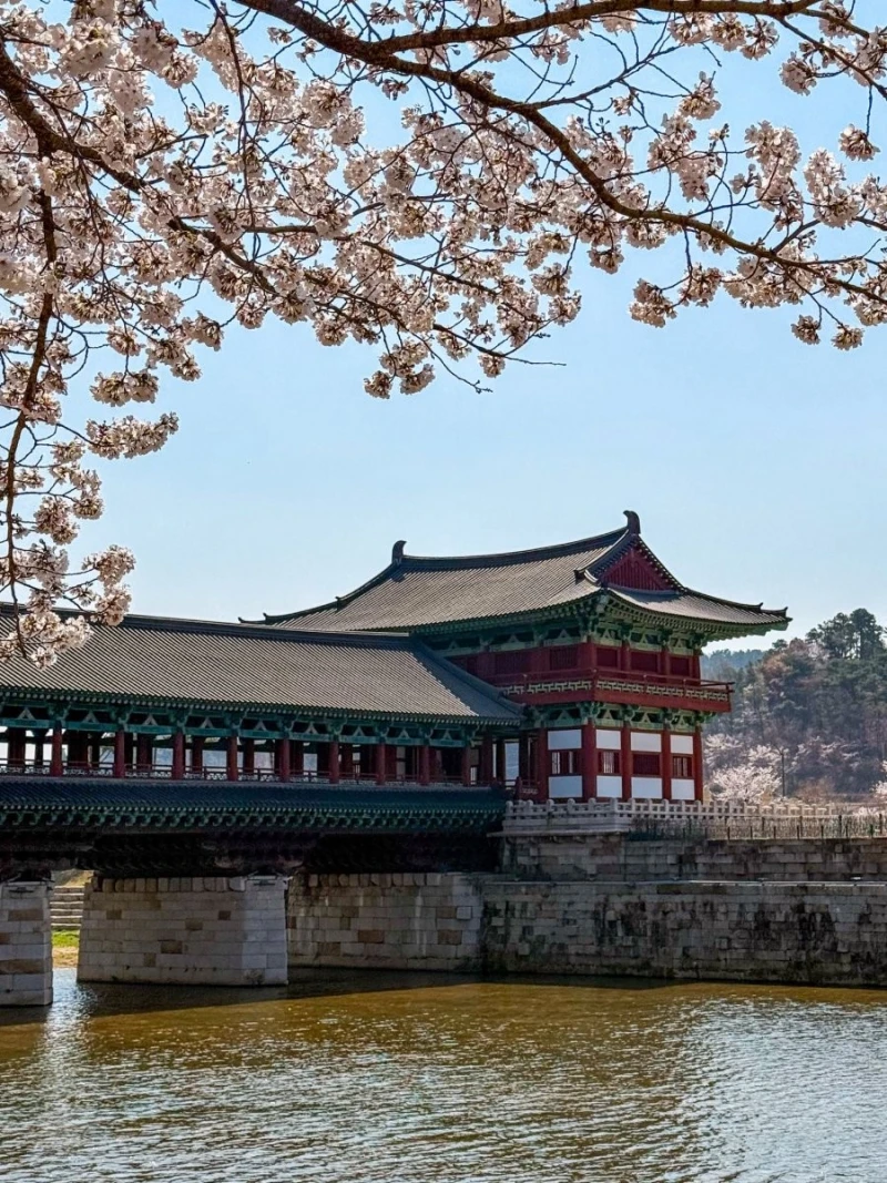 외국인이 여행와서 찍은 경주 사진들-9