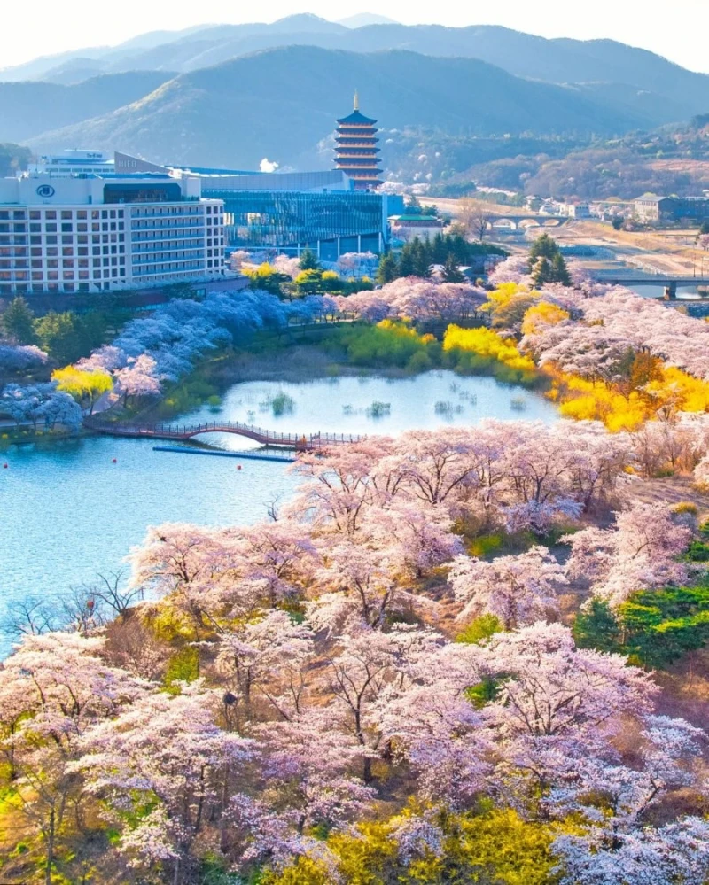 외국인이 여행와서 찍은 경주 사진들-24