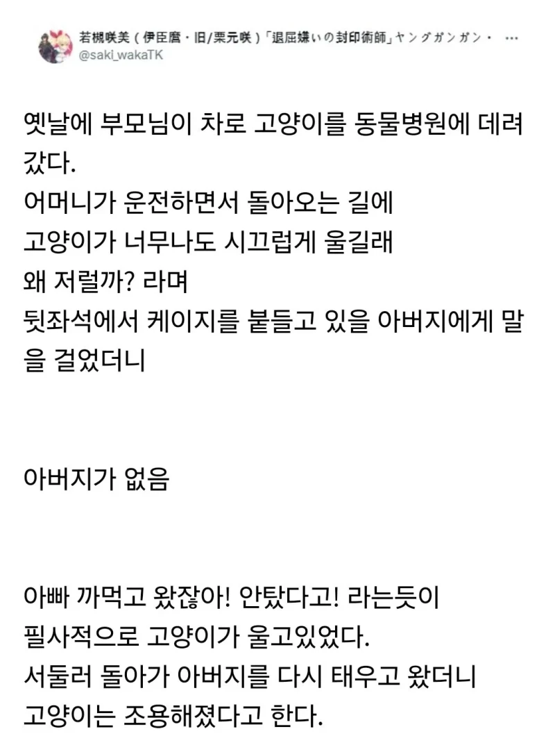동물병원 다녀온 고양이가 울었던 이유 