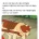 회사에서 내 프사 바꾸래