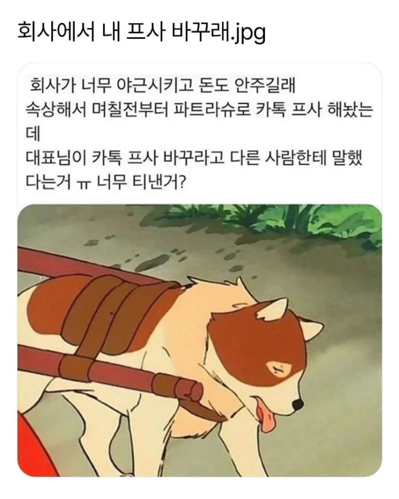 회사에서 내 프사 바꾸래
