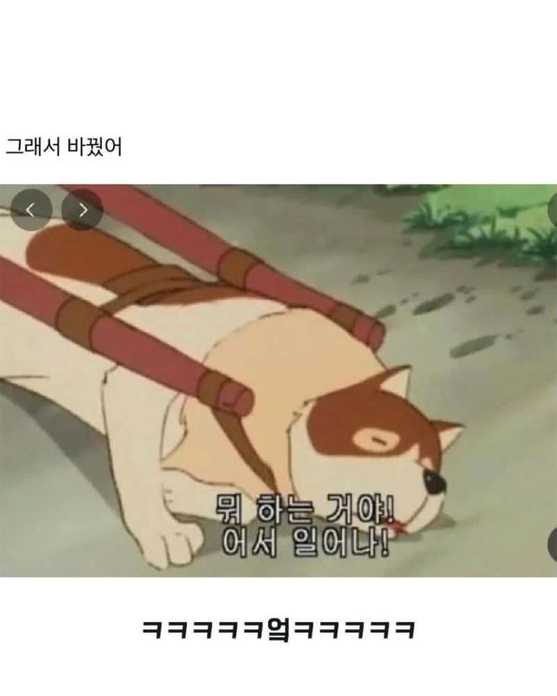 회사에서 내 프사 바꾸래-2