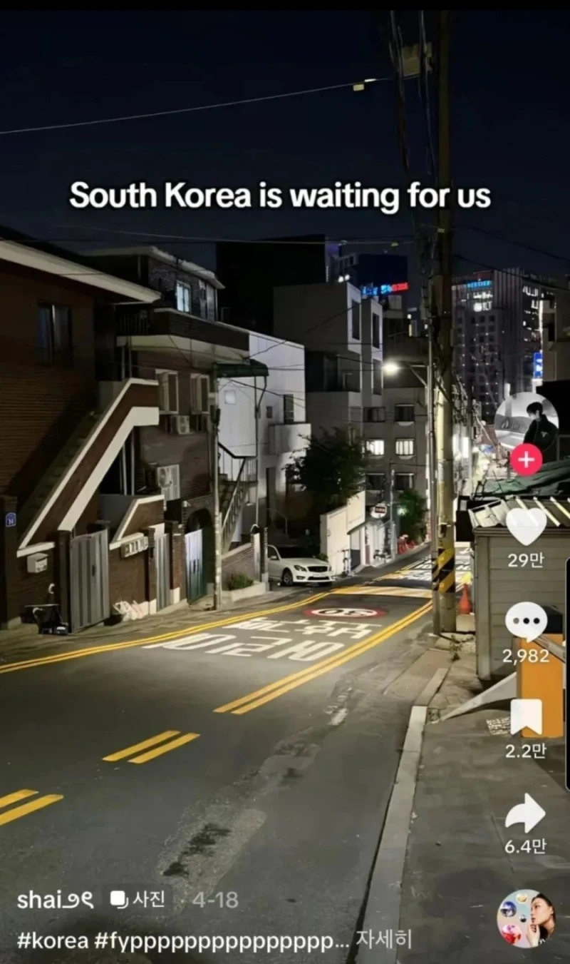 외국에서 좋아요 29만개 받은 한국 사진