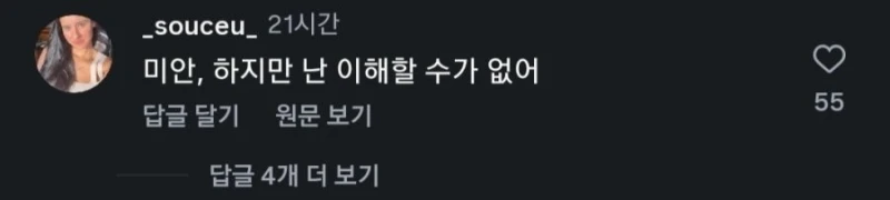 인스타에 올라온 한 외국인 가족 사진 논란-6