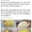 일본의 새끼 고양이 전통 풍습