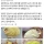 일본의 새끼 고양이 전통 풍습