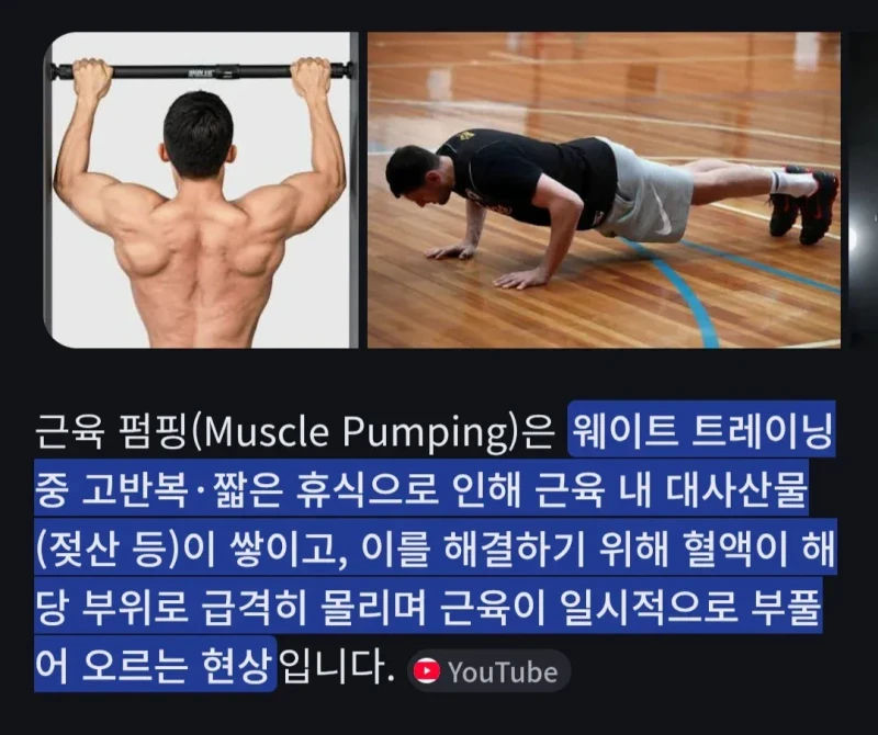 헬스 근육펌핑 원리 