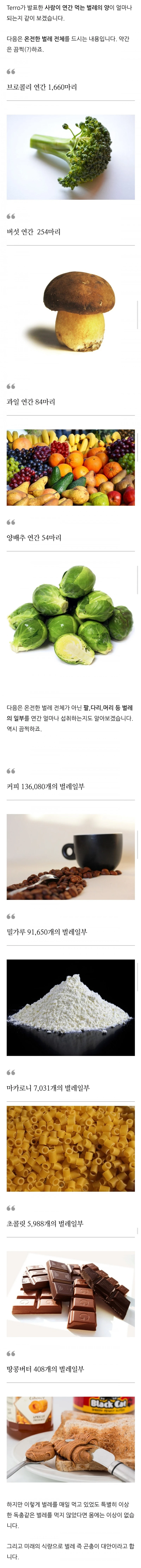 사람은 아침, 점심, 저녁에 항상 벌레를 먹고 있다는 사실-2