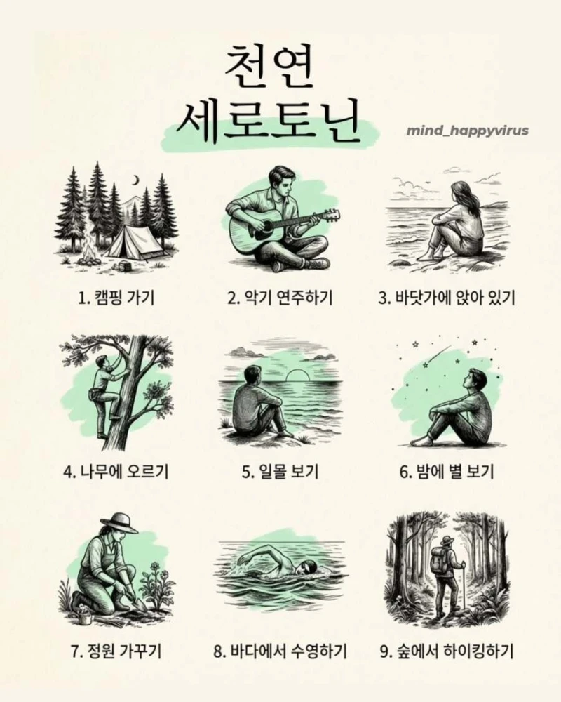 천연 호르몬 생성 방법