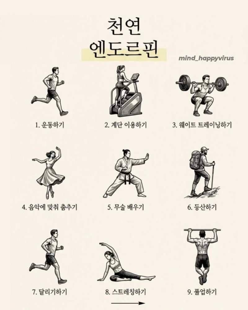 천연 호르몬 생성 방법-2