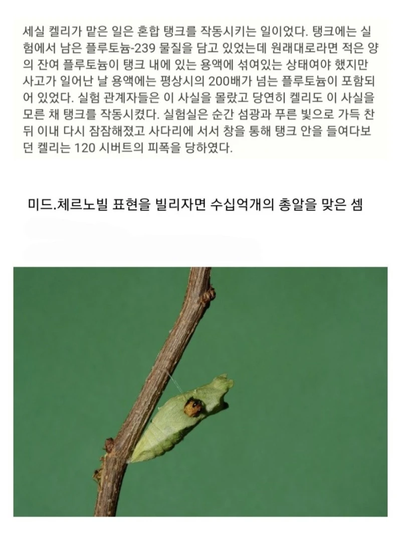 인류 역사상 제일 많이 방사선에 피폭된 사람-6