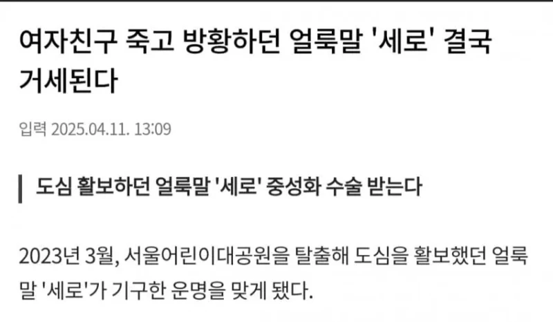 ??? : 늑구야... 절대 잡히지 마라... -2