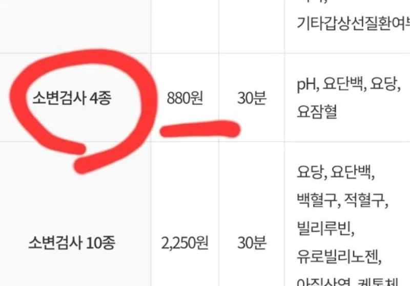 1년에 딱 한 번씩만 받아도 혜자라는 검사-4