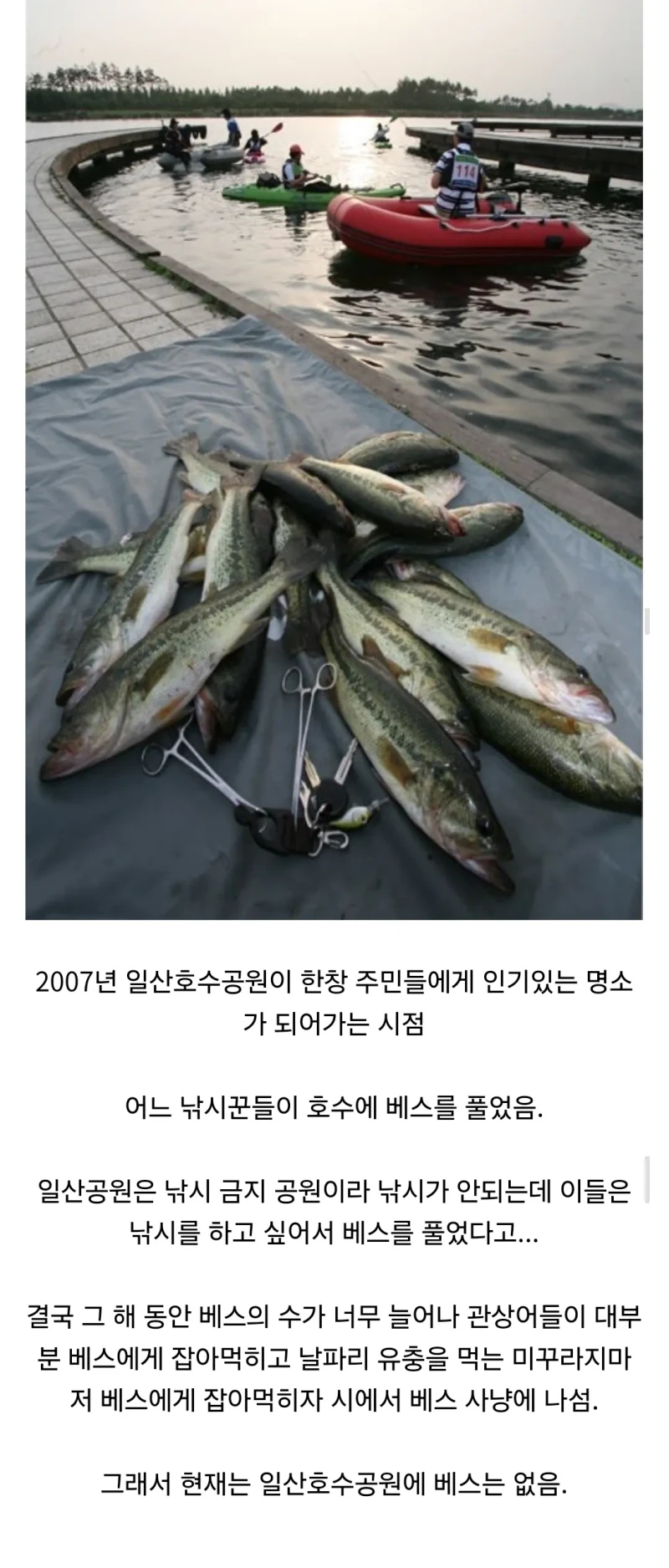 낚시에 미친놈들이 일산호수공원에 벌인 짓