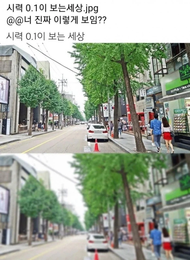 시력 0.1이 보는세상