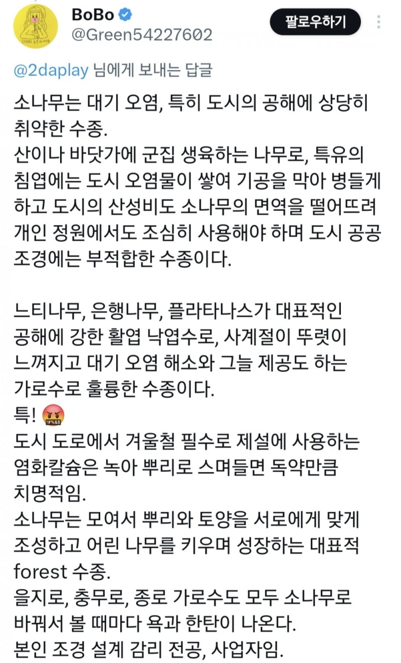 기존 가로수 다 뽑고 소나무 심은 마포대로 가로수 상태-5