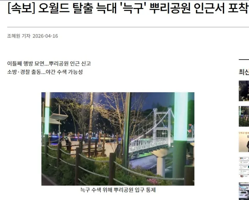 오월드 탈출 늑대 '늑구' 근황