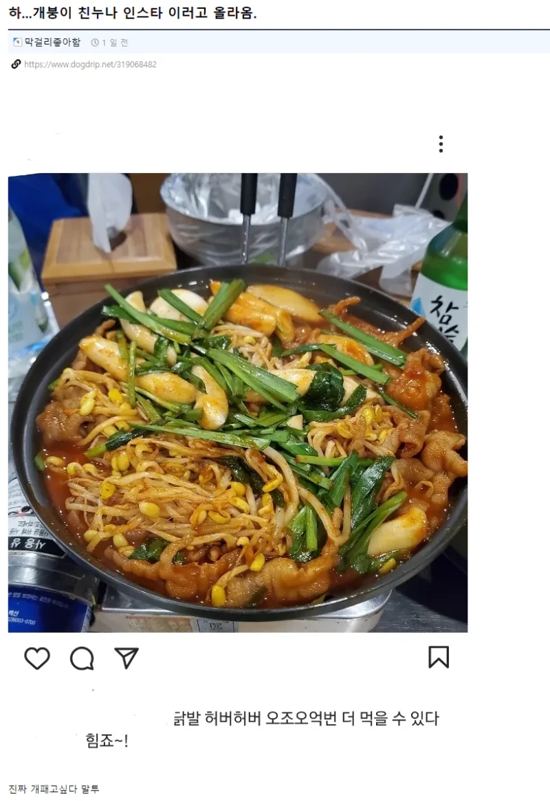 친누나 인스타 커뮤 박제 논란