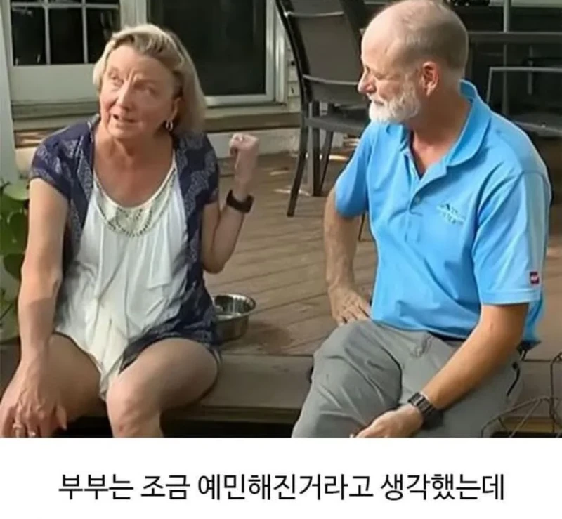 미용실 다녀온 후 예민해진 리트리버-4