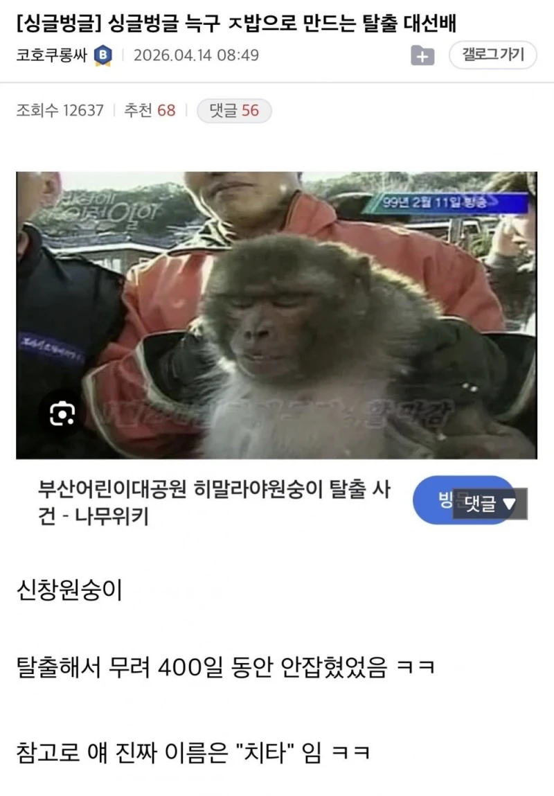 늑구 ㅈ밥으로 만드는 탈출 대선배