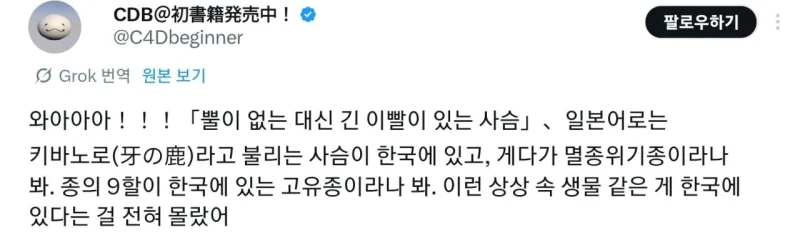 한국에만 사는 동물을 보고 감탄하는 일본인들-2
