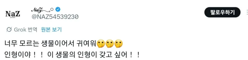 한국에만 사는 동물을 보고 감탄하는 일본인들-6