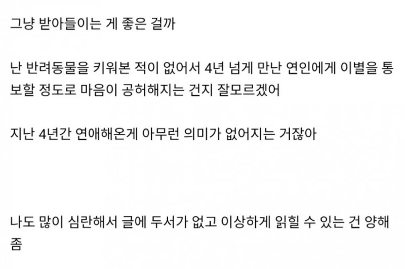 여자친구가 반려견 죽음 이후에 이별통보를 함-2