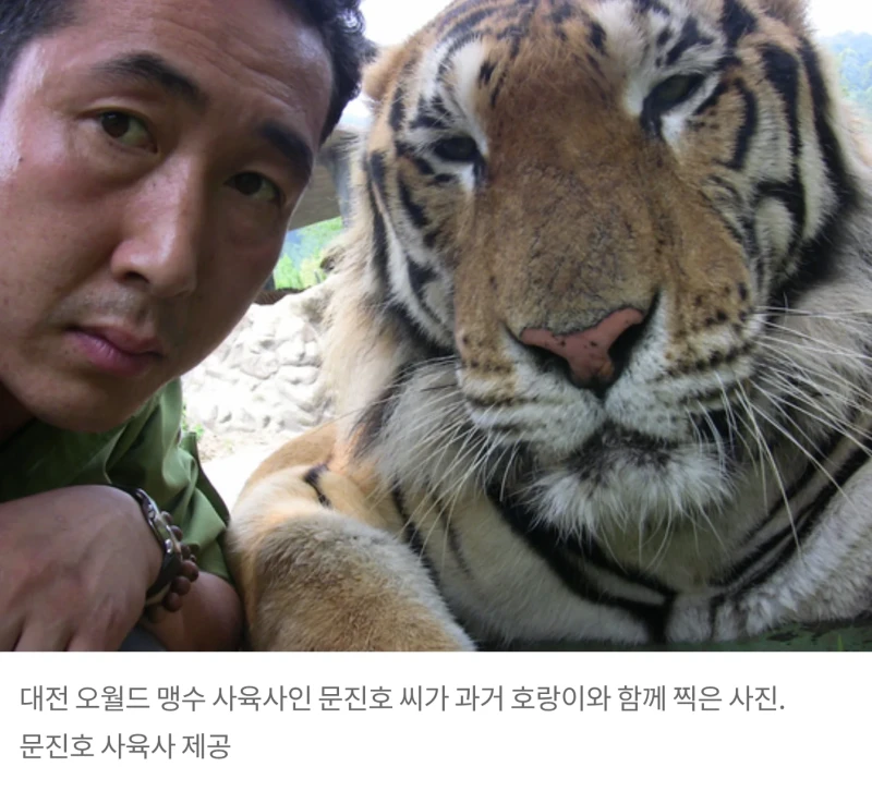 의외로 잘 모르는 오월드 늑대 사육사-2