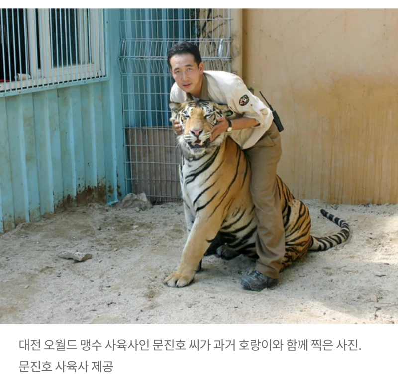 의외로 잘 모르는 오월드 늑대 사육사-3