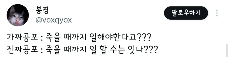 회사 : 이력은 좋으신데...나이가 많으시네요-3
