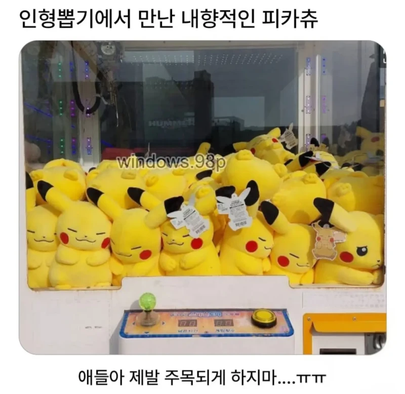 인형뽑기에서 만난 내향적인 피카츄 