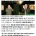 1년간 부엉이랑 대화한 줄 알았던 아저씨들