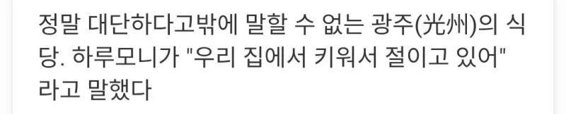 광주의 식당에서 묵은지 김치에 매료된 일본인 -4