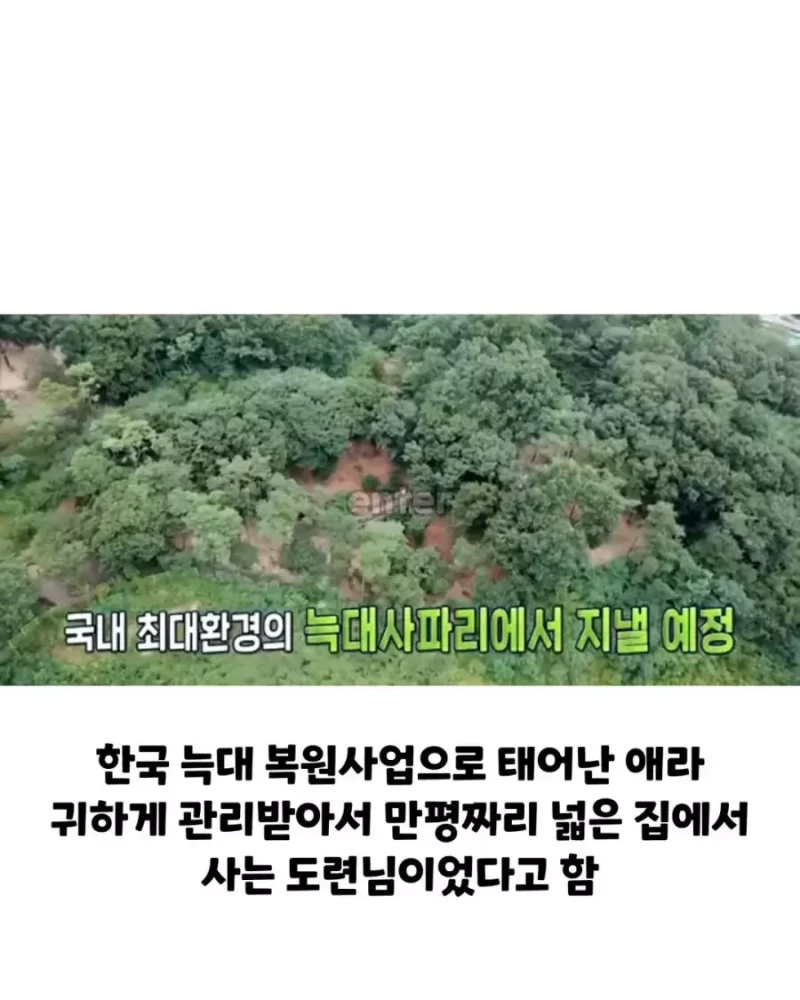 본가 공개되고 늑구 새로 생긴 별명-2