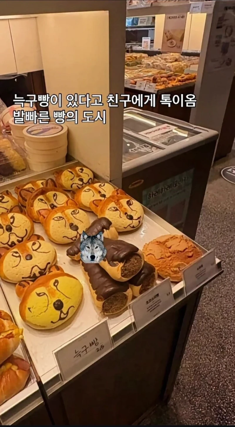 대전 늑구빵 출시..