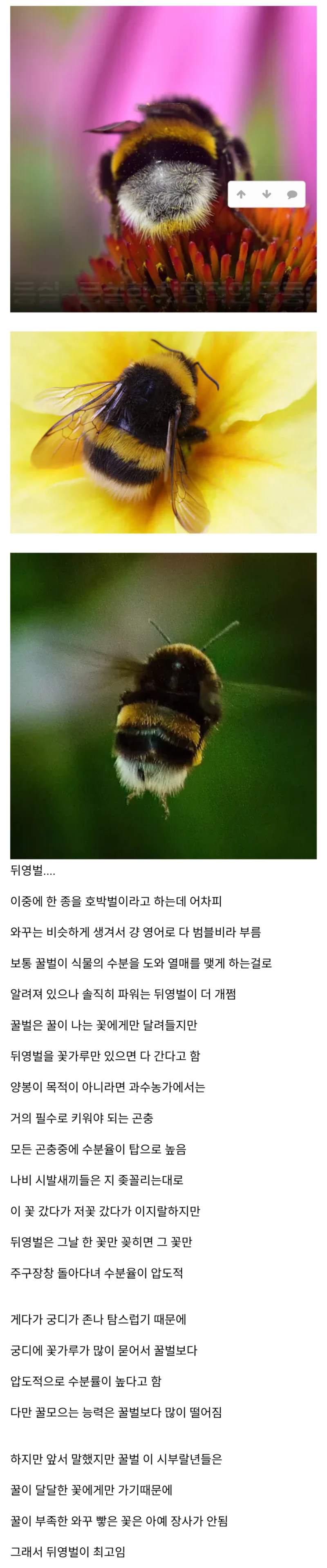 없으면 농사가 안되는 개쩌는 곤충... 